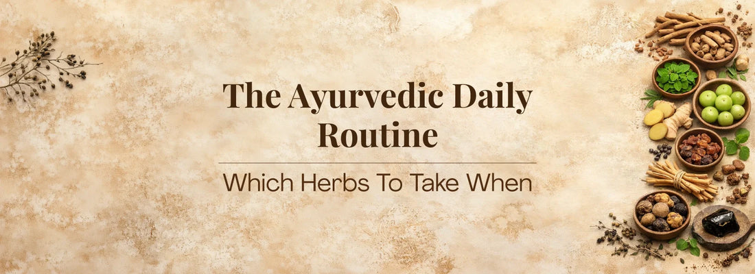 The Ayurvedic Daily Routine: Which Herbs to Take When
