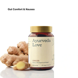 Ginger (Zingiber Officinale)